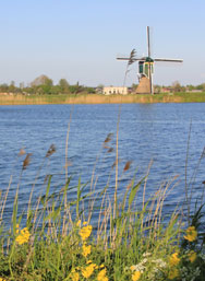 Weijpoortse Molen